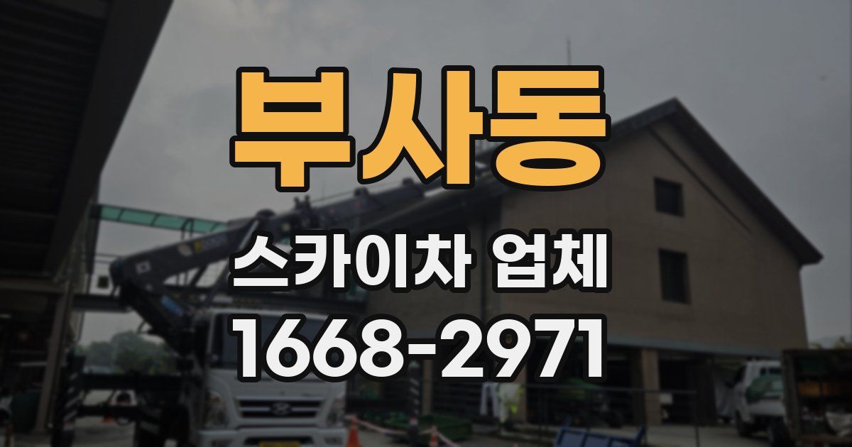 부사동 스카이차 업체