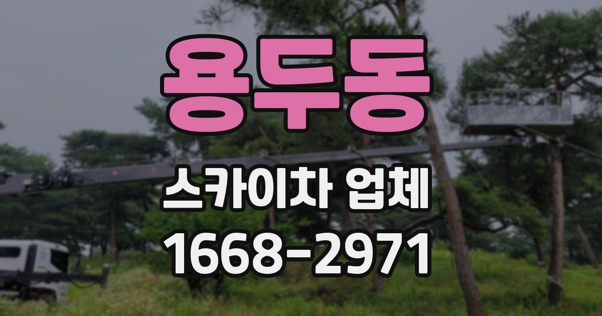 용두동 스카이차 업체