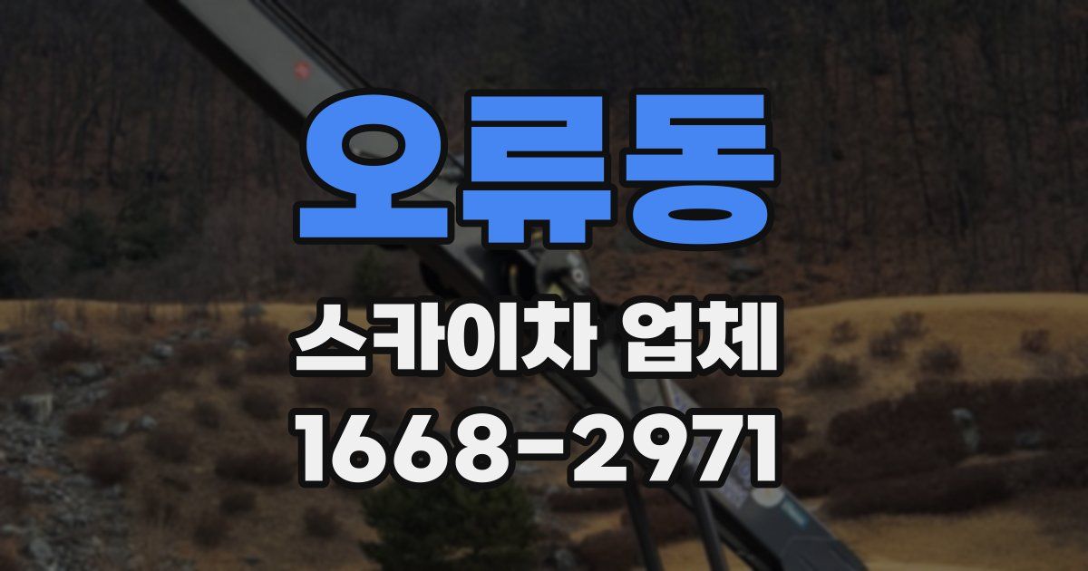 오류동 스카이차 업체
