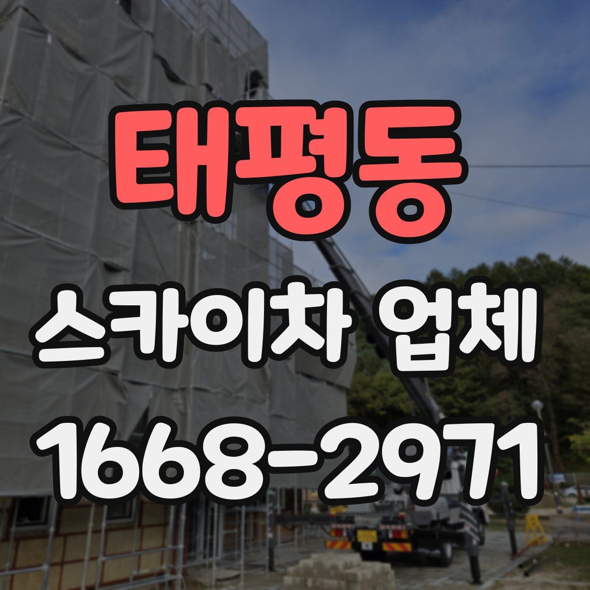 태평동 스카이차 업체