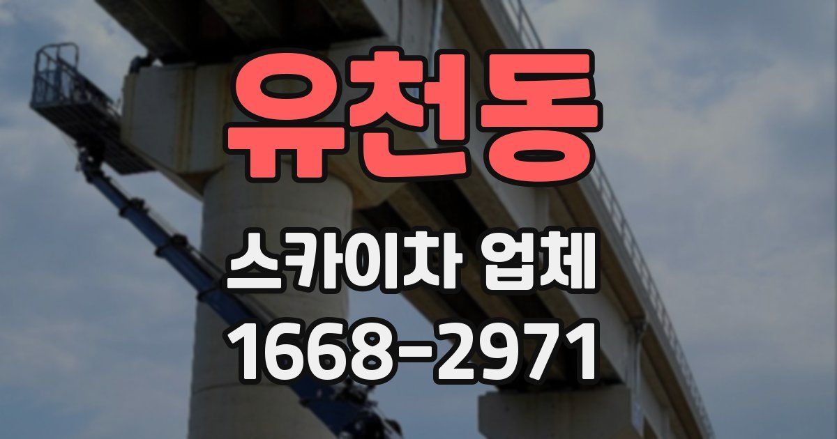 유천동 스카이차 업체