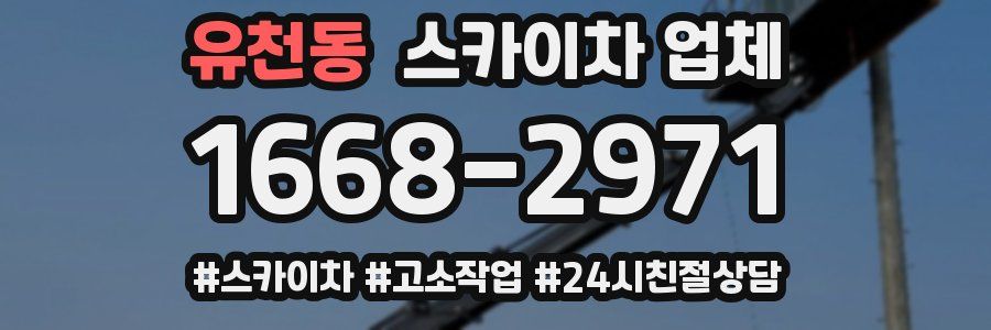 유천동 스카이차 업체