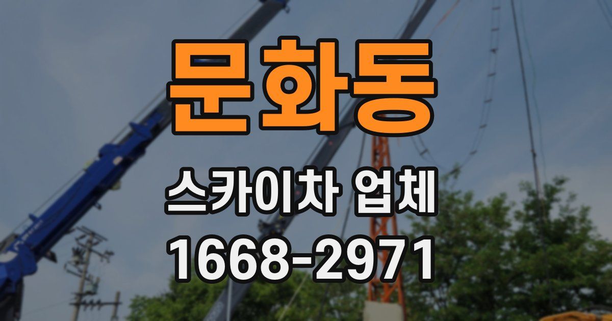 문화동 스카이차 업체