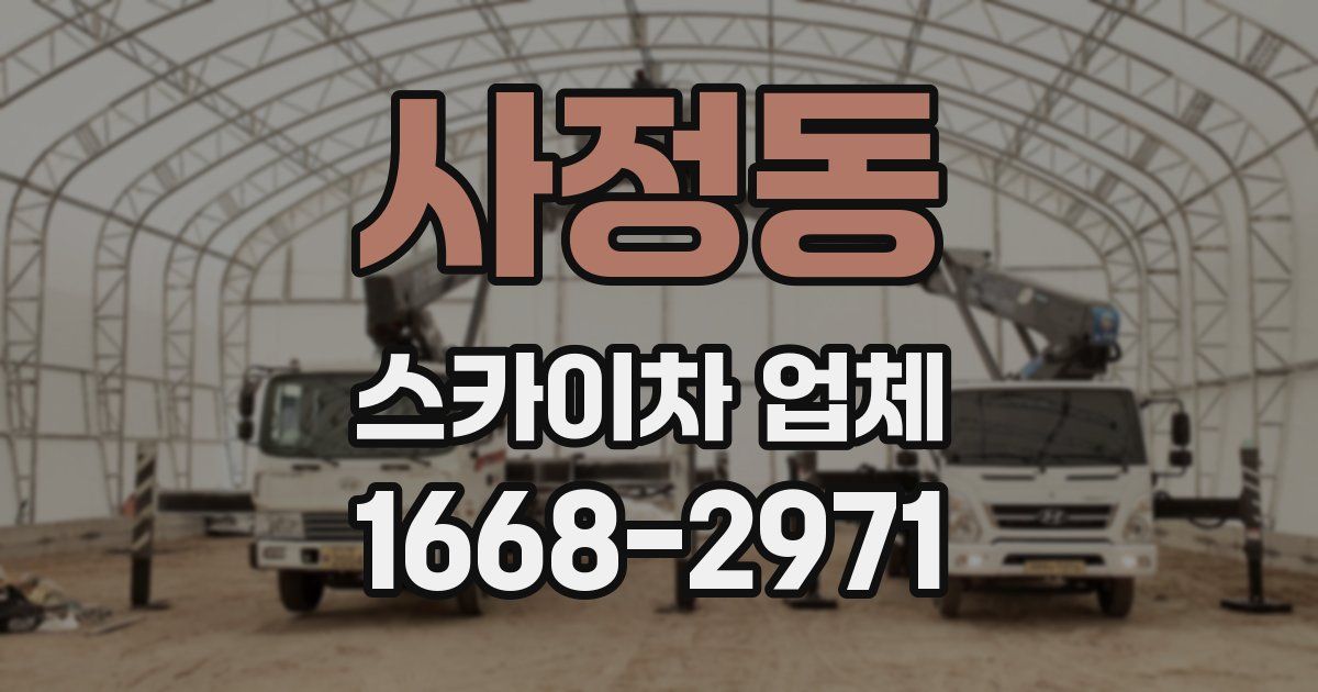 사정동 스카이차 업체