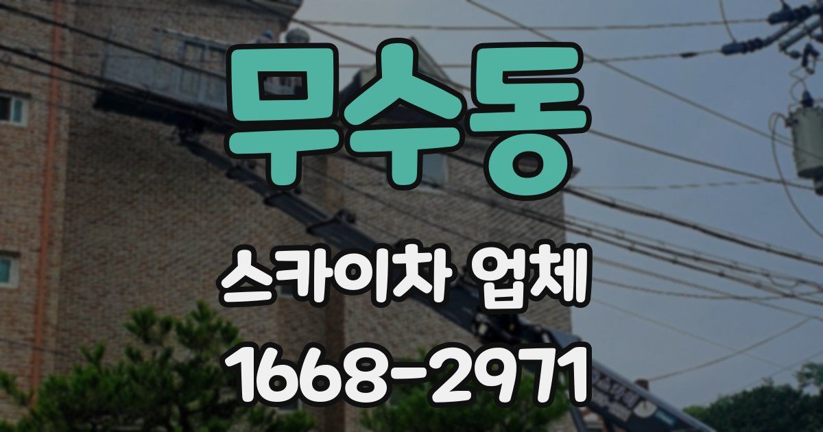무수동 스카이차 업체