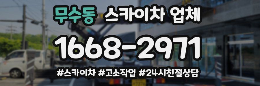 무수동 스카이차 업체
