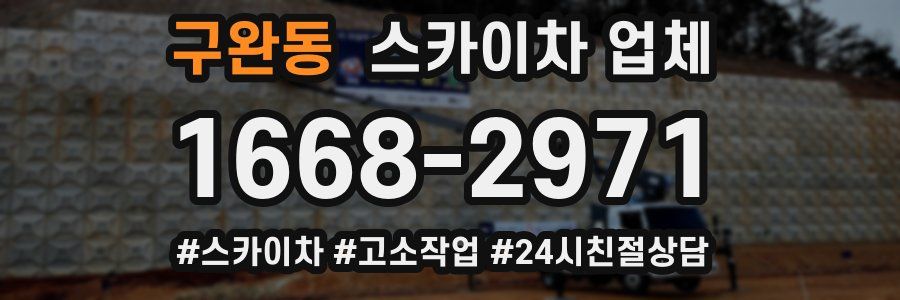 구완동 스카이차 업체