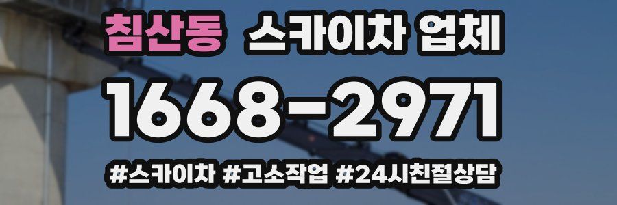 침산동 스카이차 업체
