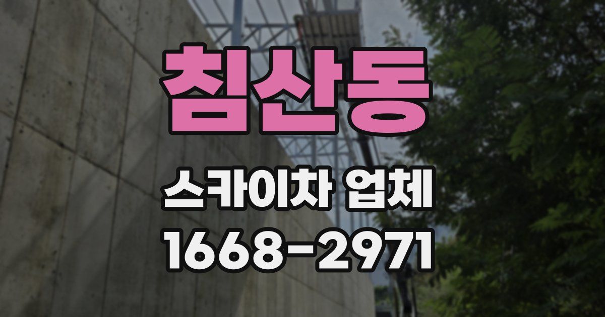 침산동 스카이차 업체