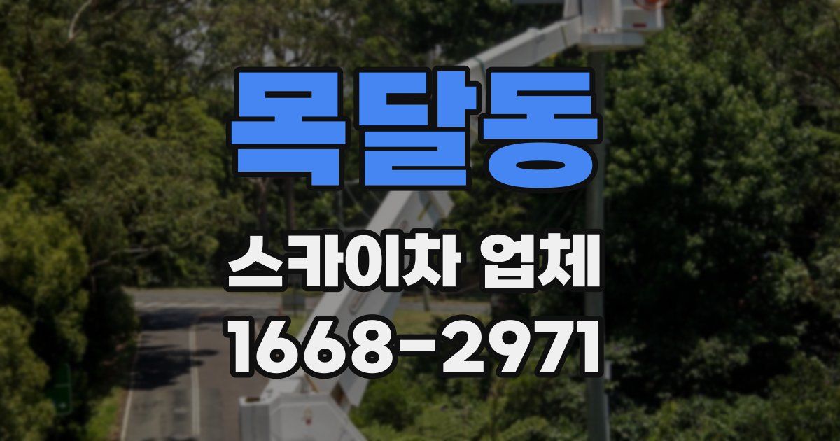 목달동 스카이차 업체