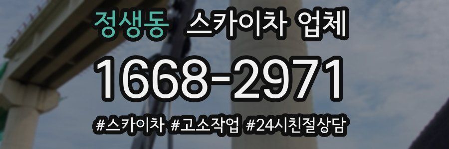 정생동 스카이차 업체