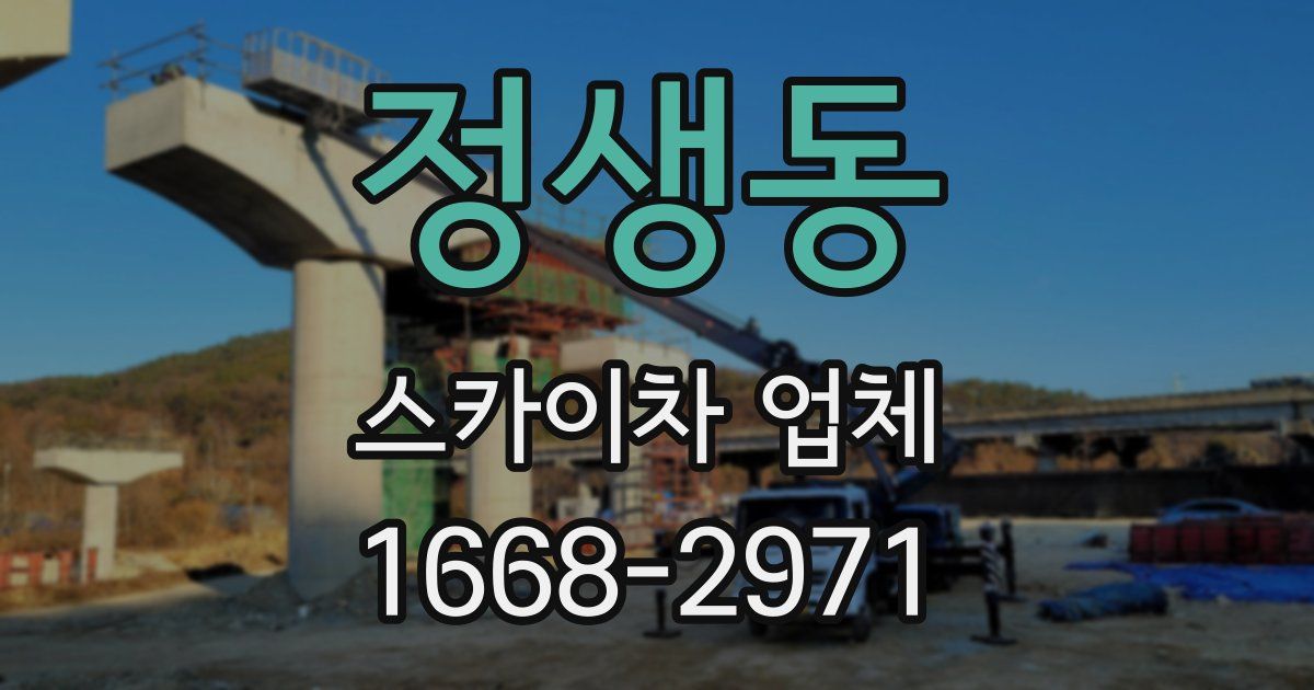 정생동 스카이차 업체
