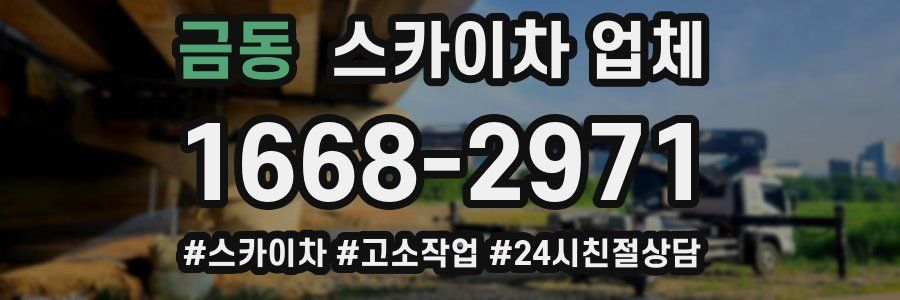 금동 스카이차 업체