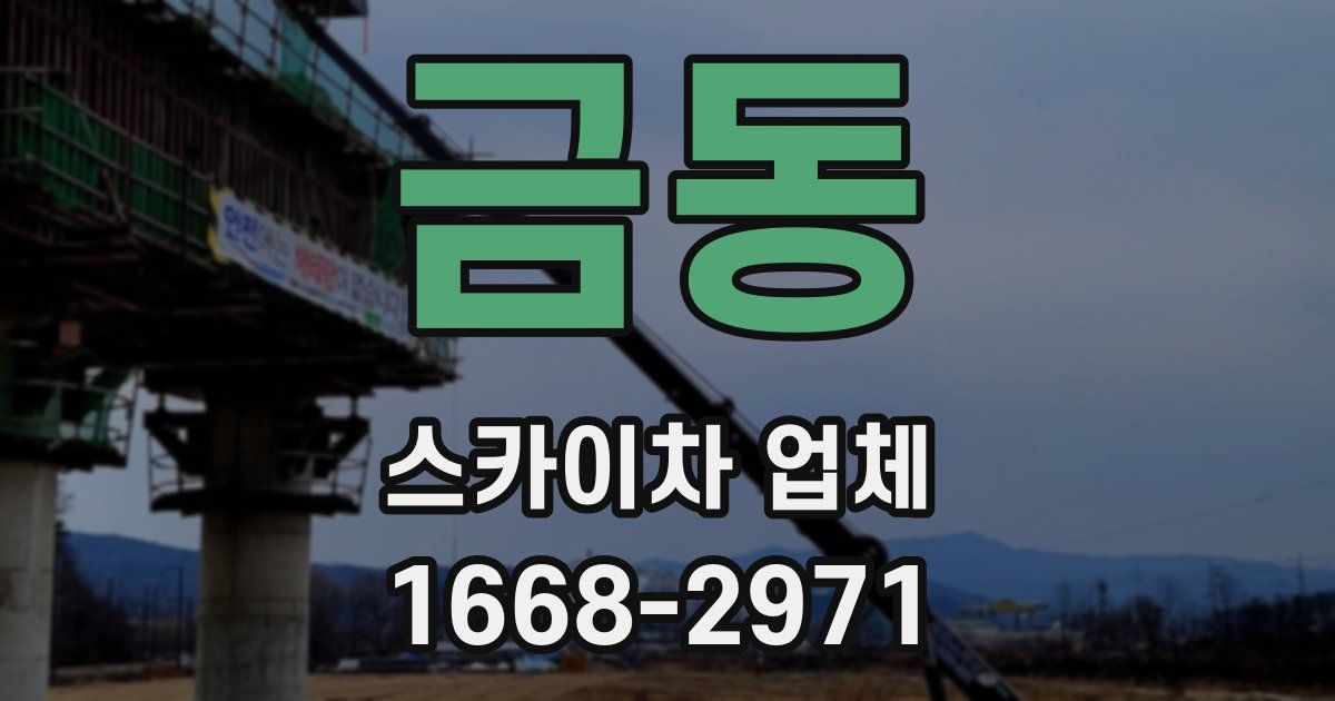 금동 스카이차 업체
