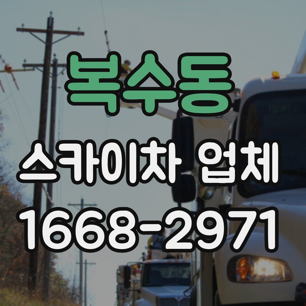 복수동 스카이차 업체