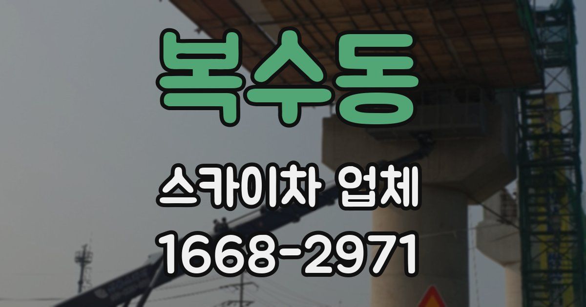 복수동 스카이차 업체