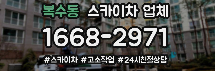 복수동 스카이차 업체