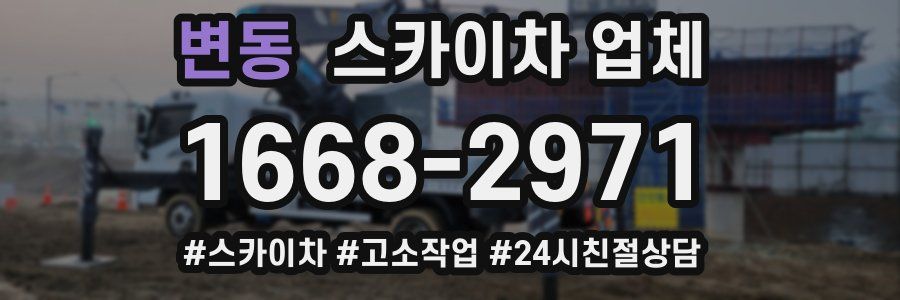 변동 스카이차 업체