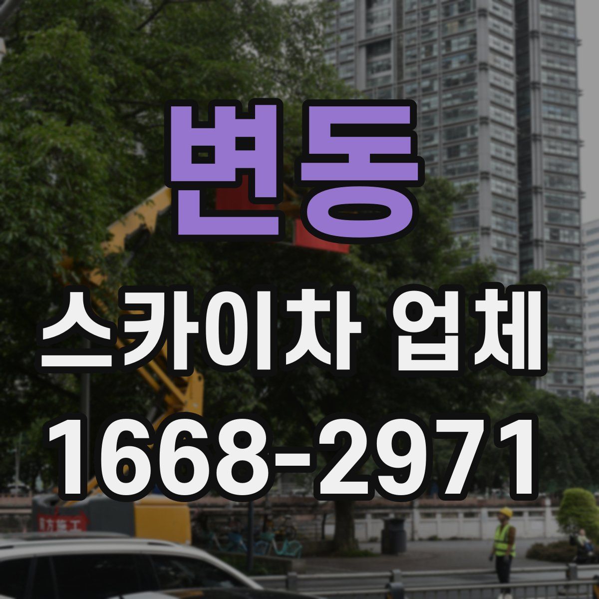 변동 스카이차 업체