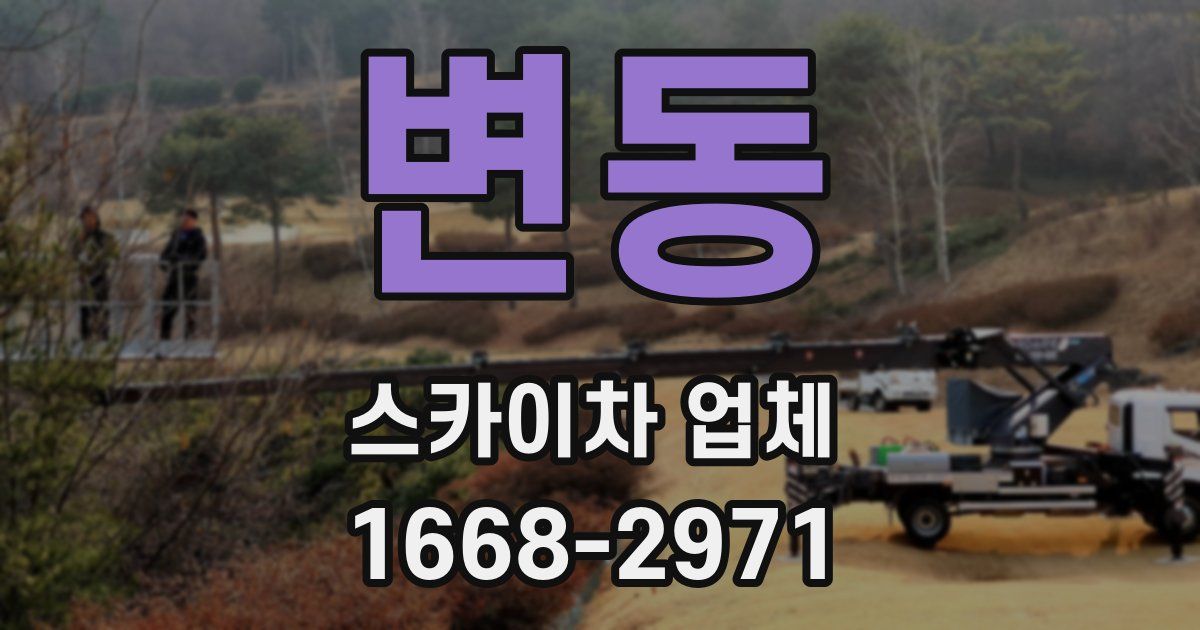 변동 스카이차 업체