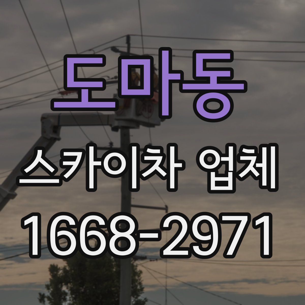 도마동 스카이차 업체