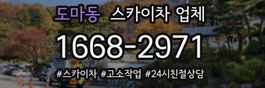 도마동 스카이차 업체
