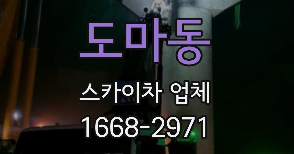 도마동 스카이차 업체