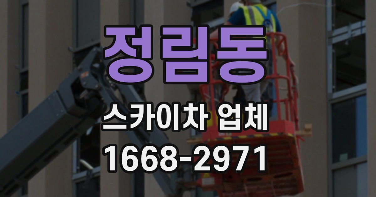 정림동 스카이차 업체
