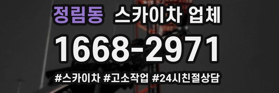정림동 스카이차 업체