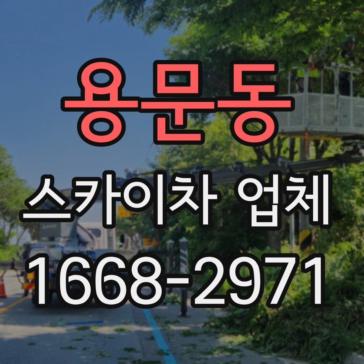 용문동 스카이차 업체 비교 기준으로 자주 놓치는 부분