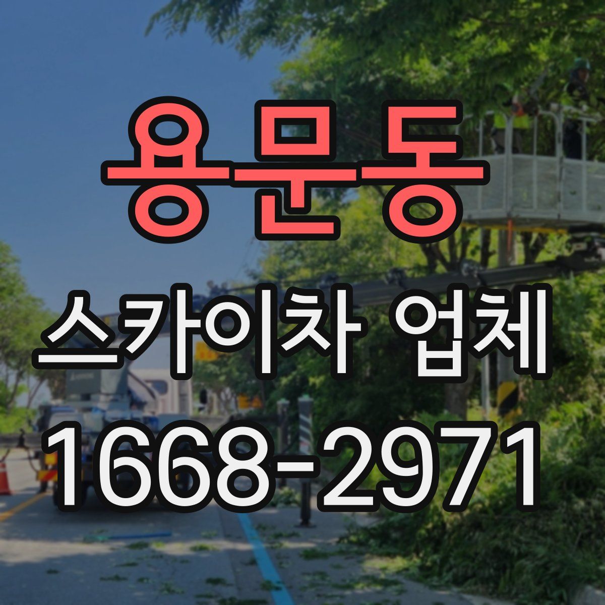 용문동 스카이차 업체