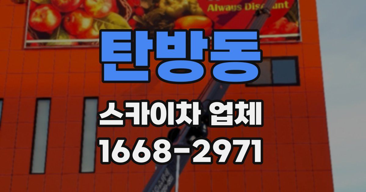 탄방동 스카이차 업체