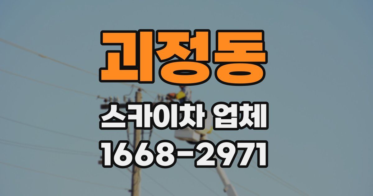 괴정동 스카이차 업체