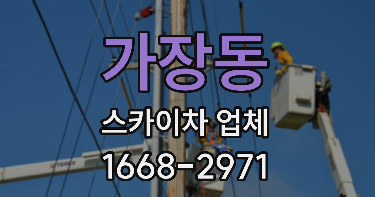 가장동 스카이차 업체