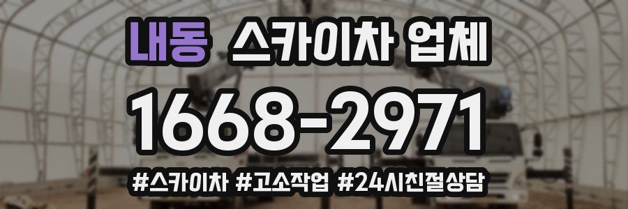 내동 스카이차 업체