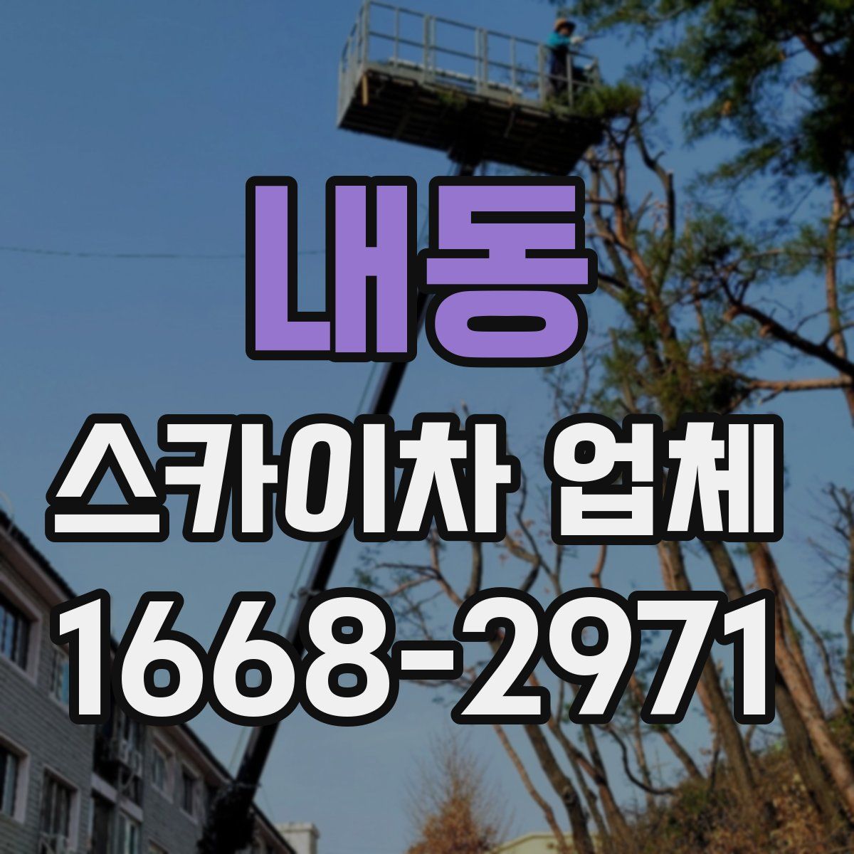내동 스카이차 업체