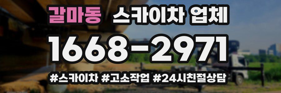 갈마동 스카이차 업체