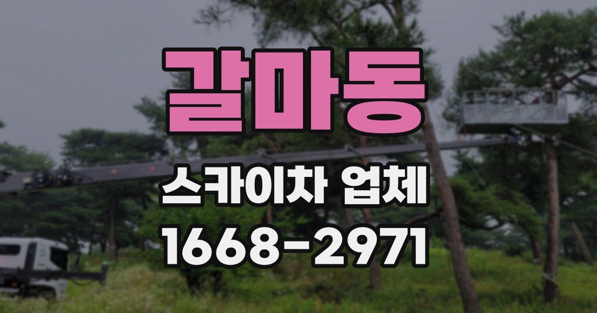 갈마동 스카이차 업체