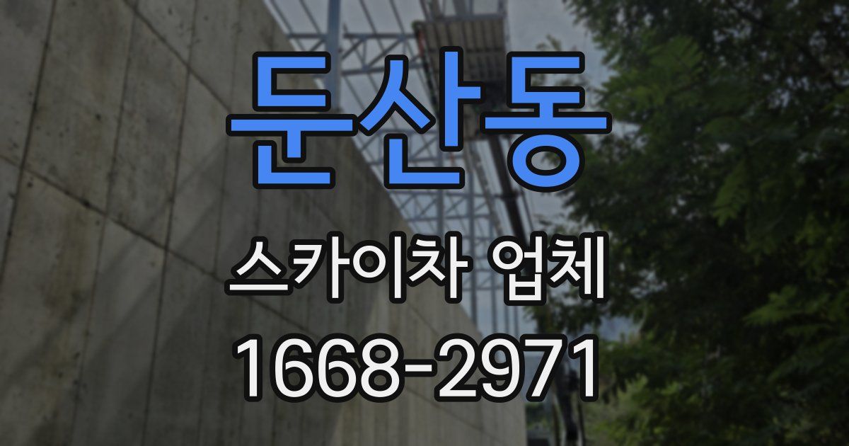 둔산동 스카이차 업체