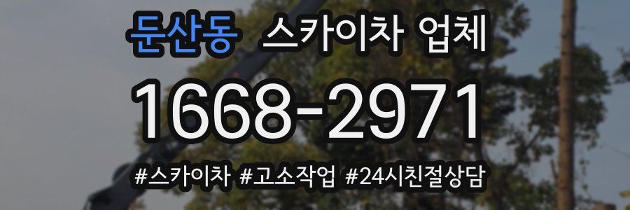 둔산동 스카이차 업체