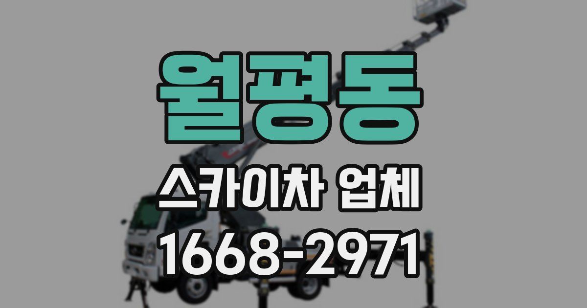 월평동 스카이차 업체