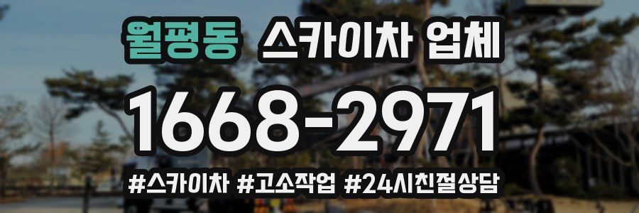 월평동 스카이차 업체