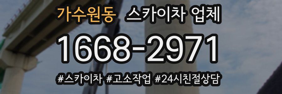 가수원동 스카이차 업체