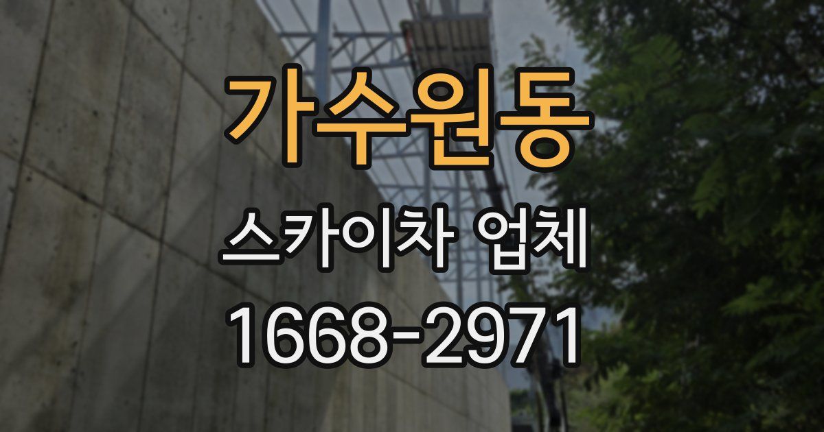 가수원동 스카이차 업체