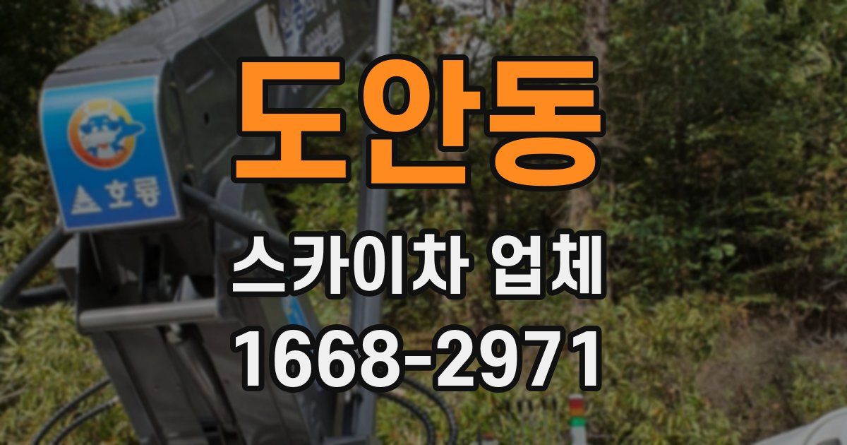 도안동 스카이차 업체