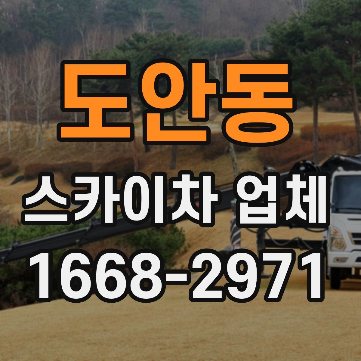 도안동 스카이차 업체