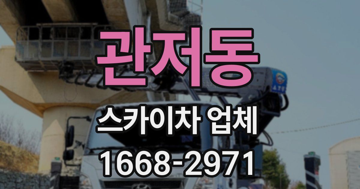 관저동 스카이차 업체