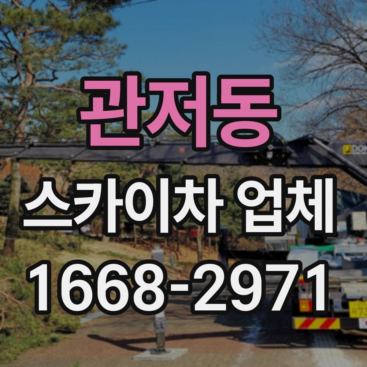 관저동 스카이차 업체