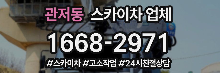 관저동 스카이차 업체