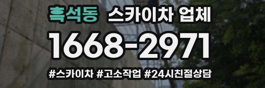 흑석동 스카이차 업체